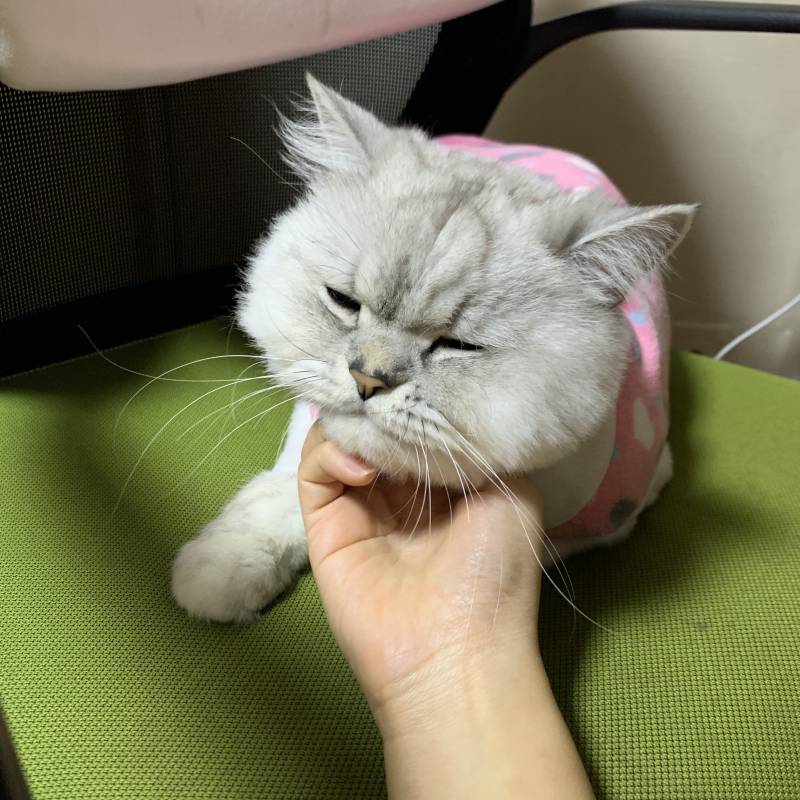 아니 나 의자에 앉아서 일해야 되는데 미치겠네 40 | 인스티즈