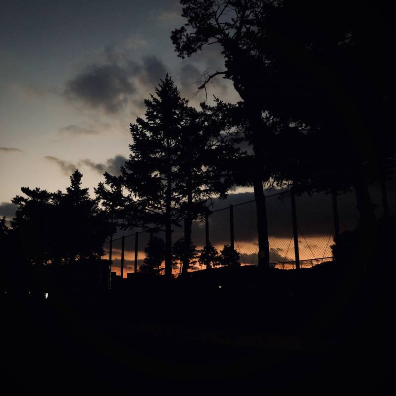 오늘 사진 건졌다 | 인스티즈