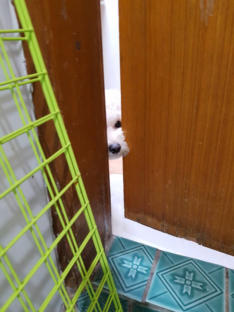 씻으려는데 누가 훔쳐봐 | 인스티즈