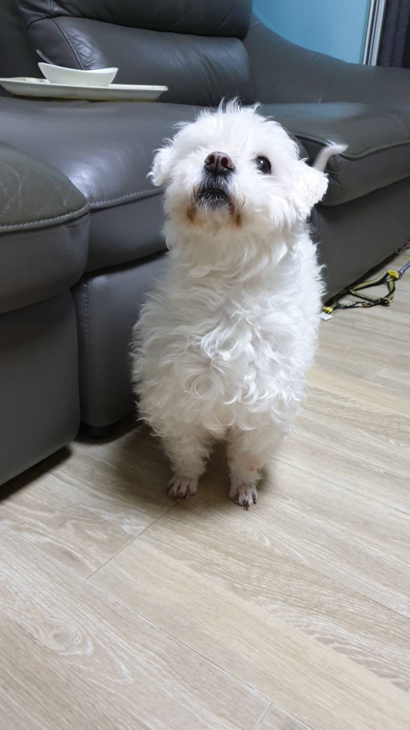 이게 할머니 맞냐 | 인스티즈