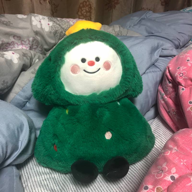 다이소에서 데려온 우리집 애기 | 인스티즈