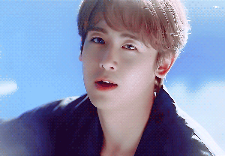 아이돌하는 강아지들 | 인스티즈