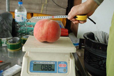 뭐야 신검받는거 사진 찍어도 되는거야? | 인스티즈