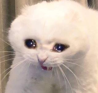 뉴이스트 팬미팅에서 충격적인 정적 | 인스티즈