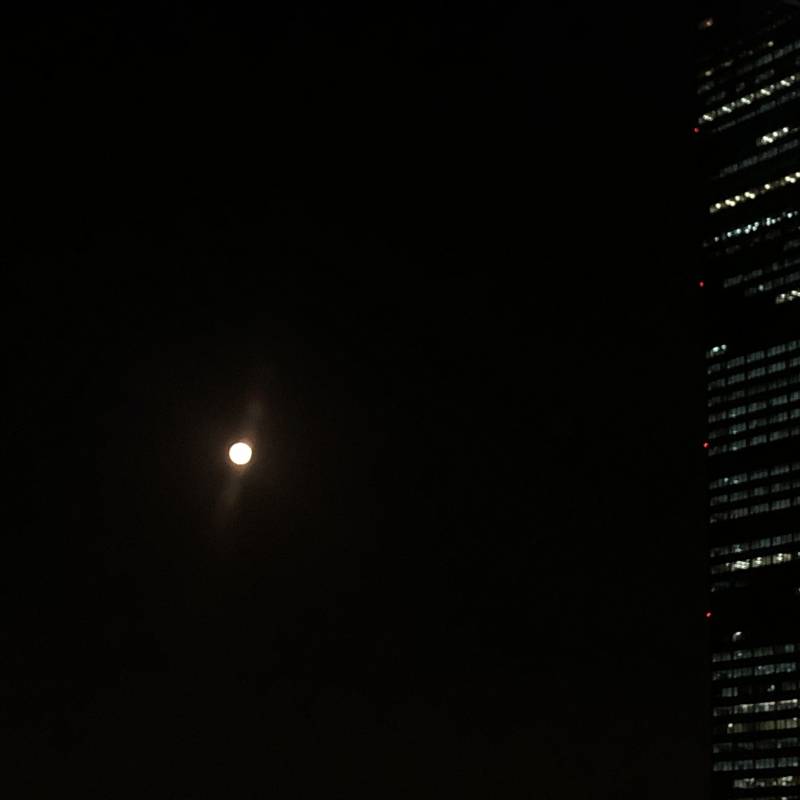 우리집에서 찍은 건데 너무 예쁘지 | 인스티즈