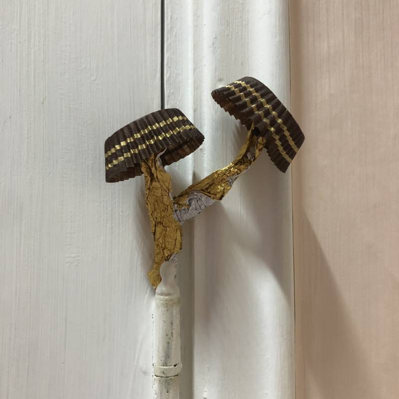 헐우리집에서 버섯자람 | 인스티즈