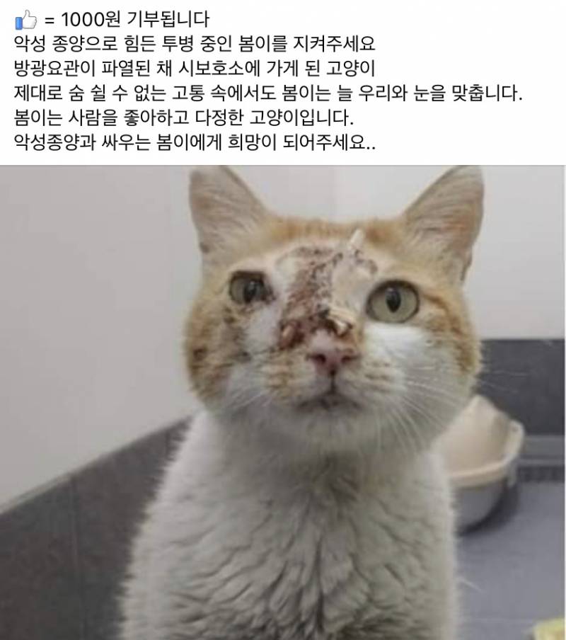 아니ㅋㅋㅋ이걸 믿는 사람들이 있어 ?(ㅎㅇㅈㅇ) | 인스티즈