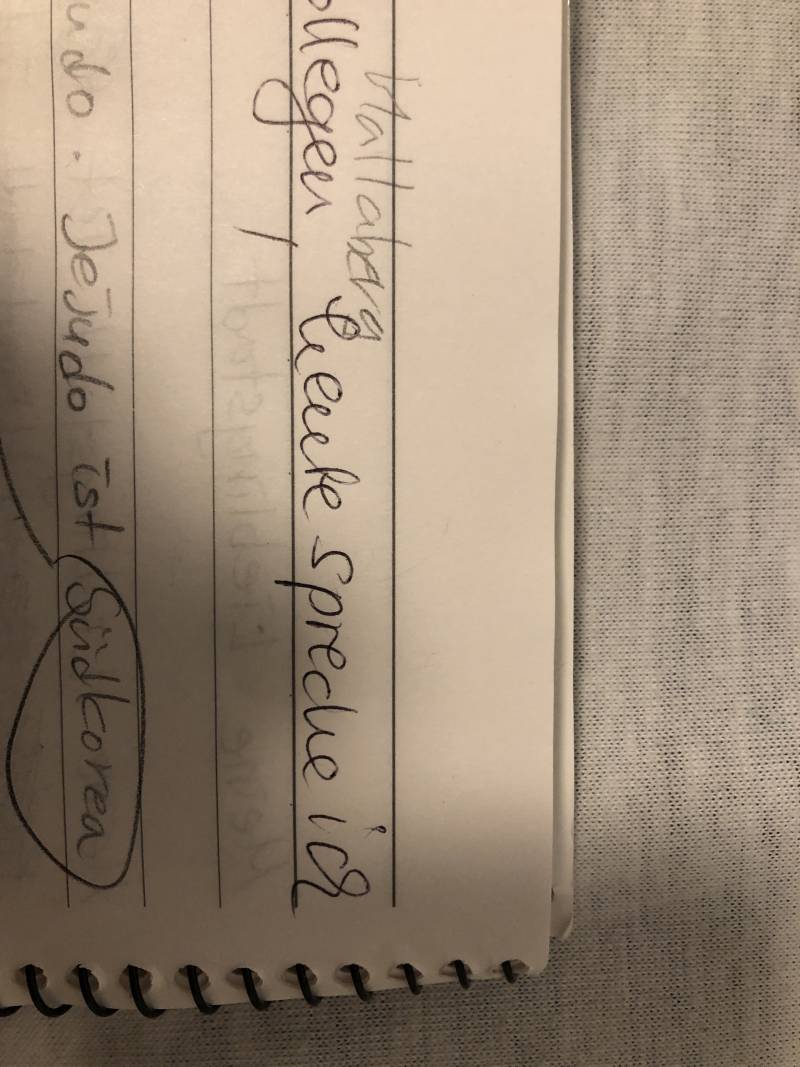 독일어 잘 하는 익들!!!이거 무슨 글씨야?? | 인스티즈