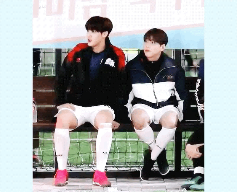 우리애들 가끔가다 덩치차이 극명하게 나는데 너무 귀여워.... | 인스티즈