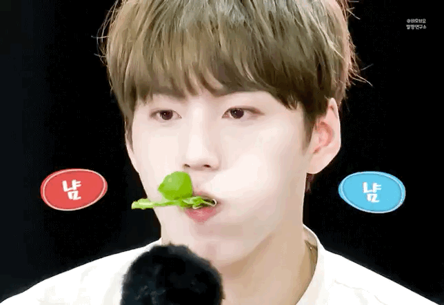 김국헌 완조니 토끼같아 | 인스티즈