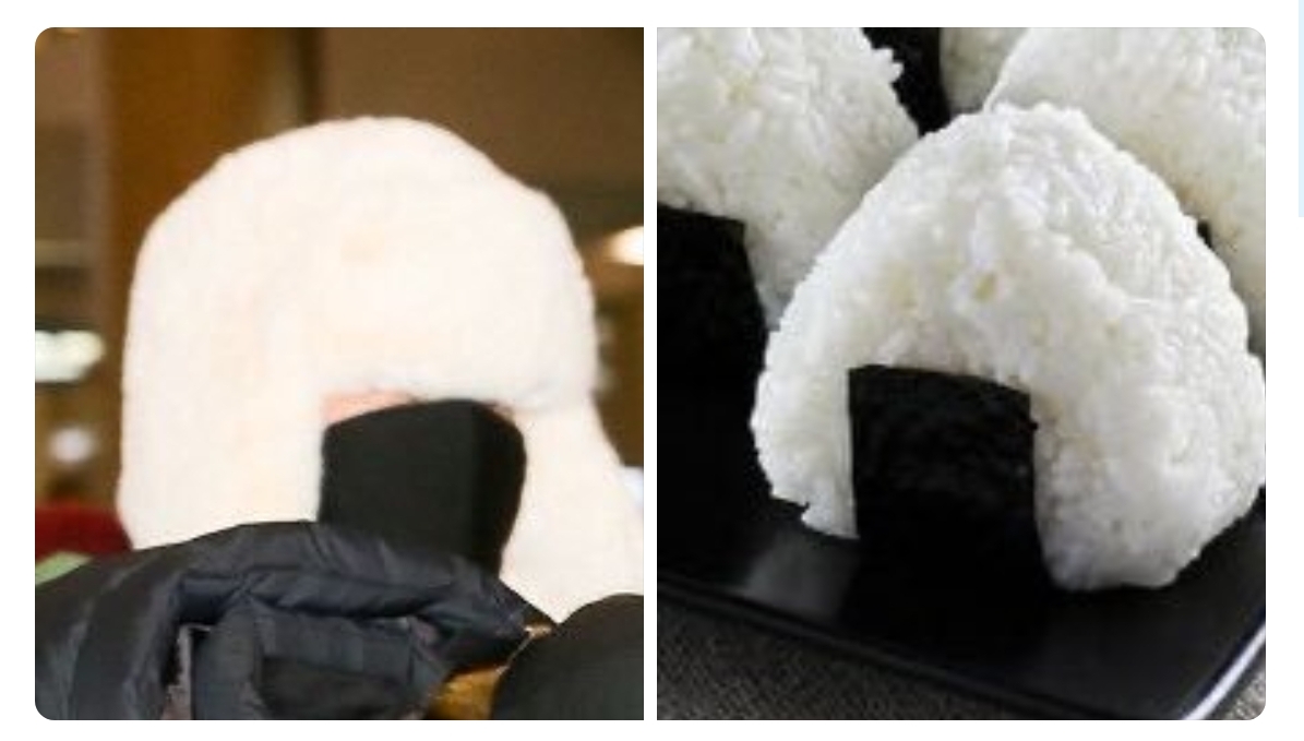 아니 내새끼들 사람이 아닌 건 알았는데..(ㅈㅇ ㅂㅌ | 인스티즈