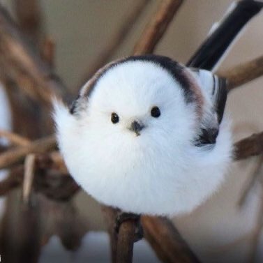 오늘부터 병찬이 | 인스티즈