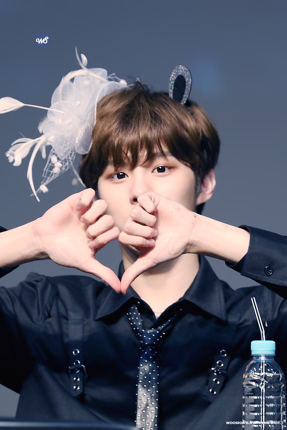 웅 요즘 깅우서깅 곰돌단이 떡상중임 | 인스티즈