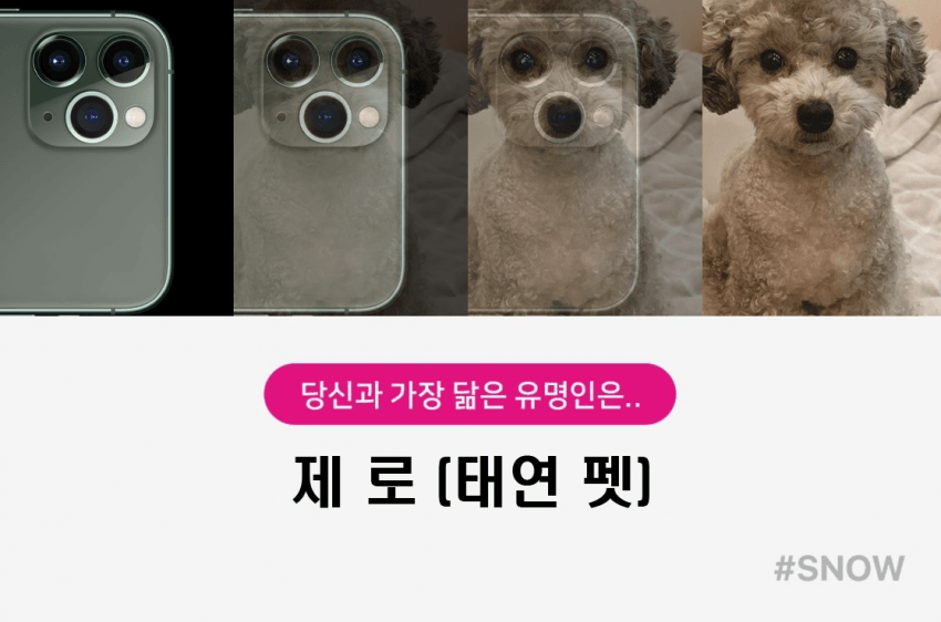 아이폰11pro 닮은꼴 (길잃X) | 인스티즈