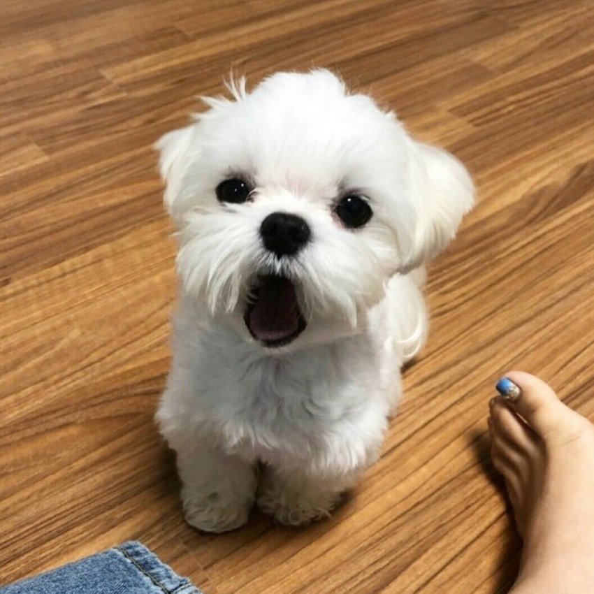 김우석 말티단 메이저각? | 인스티즈