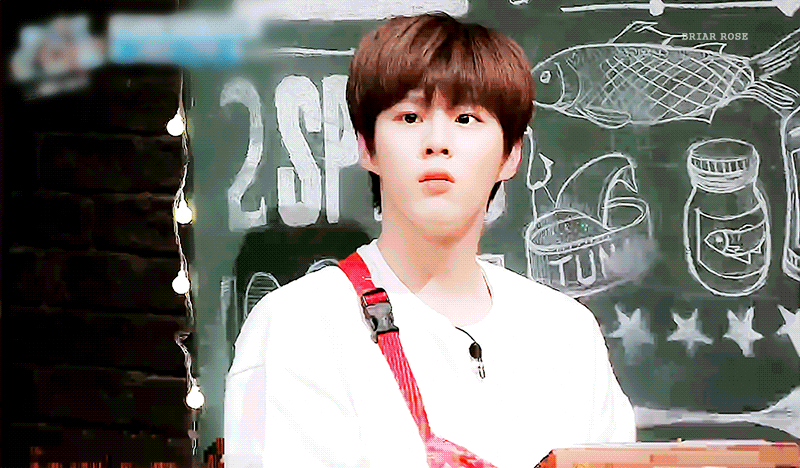 내새끼지만 바보같은 짤 ㅈㅇ 김우석 | 인스티즈