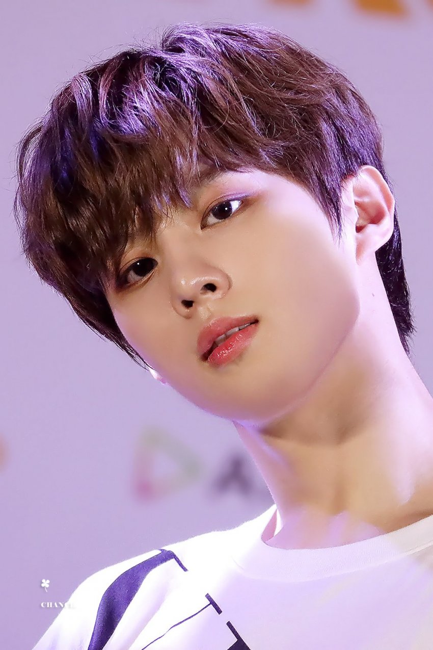 얘 사슴깅이야 곰돌깅이야? ㅈㅇ김우석 | 인스티즈