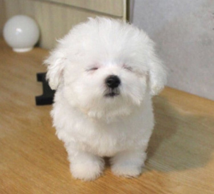 김우석 말티단 메이저각? | 인스티즈