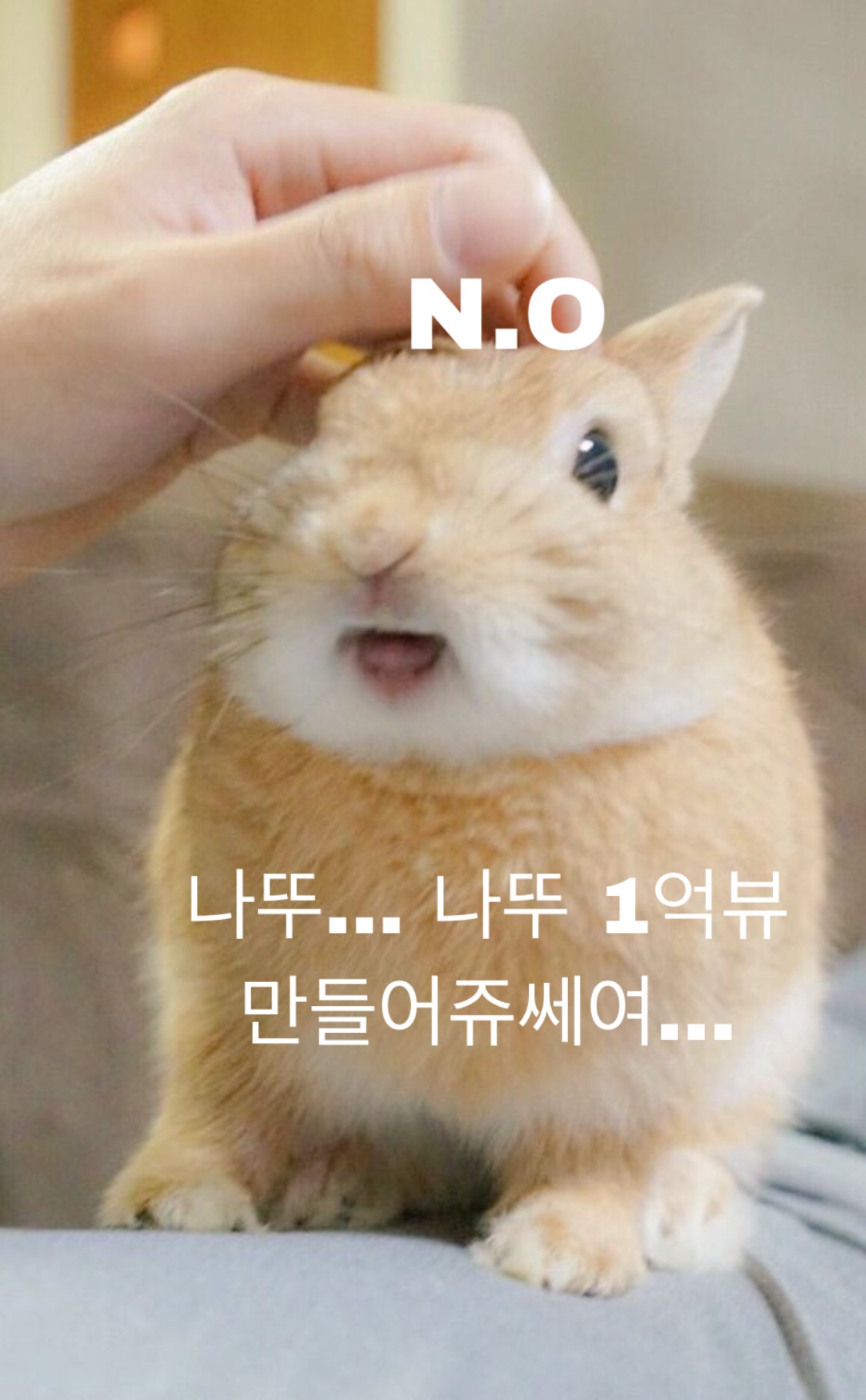 탄소들 하이루 | 인스티즈