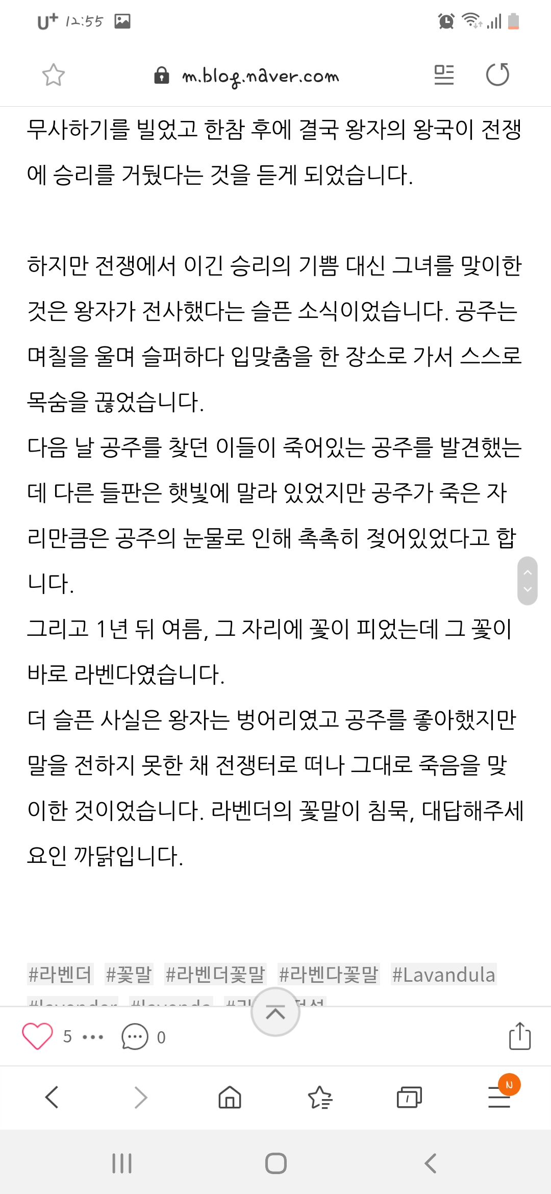 투바투 뮤비에서 휴닝이가 곤충 잡을려 할때 나오는 꽃 | 인스티즈