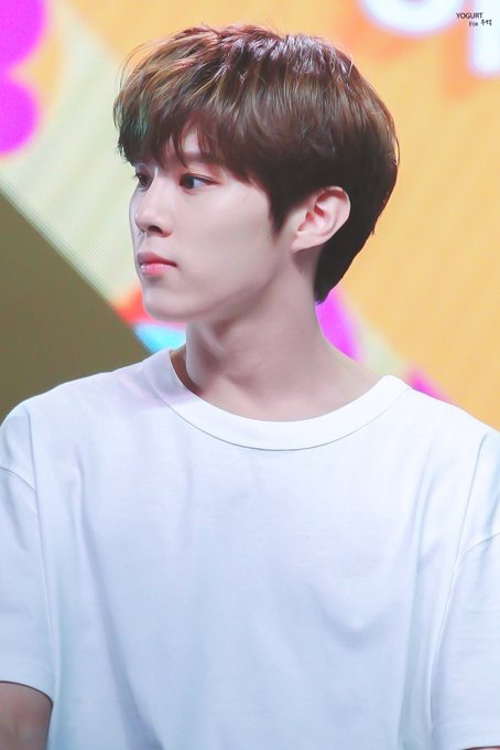 김우석 덕질하다 힘들때 징징거리면 덕친들이 다 관두면 편해진다함 | 인스티즈