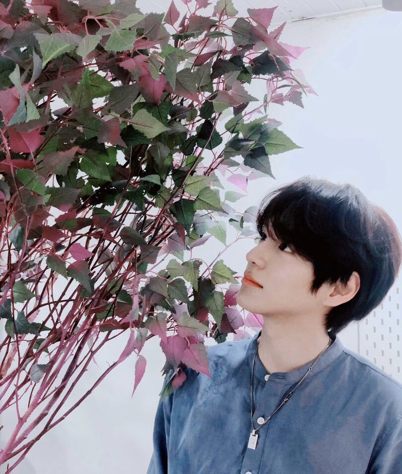 빅톤 허찬 머리 주기적으로 잘랐는데 아무도 몰라줘서 티엠아이로 말해준거 귀여워ㅋㅋㅋ | 인스티즈