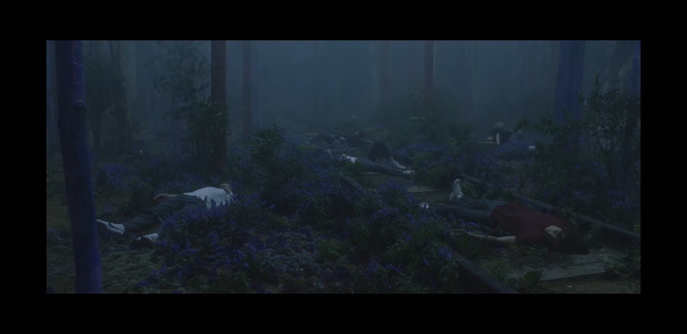 투바투 오드아이 고양이는 뭔가 시련?같은 부정적인걸 상징하는거겠지? | 인스티즈