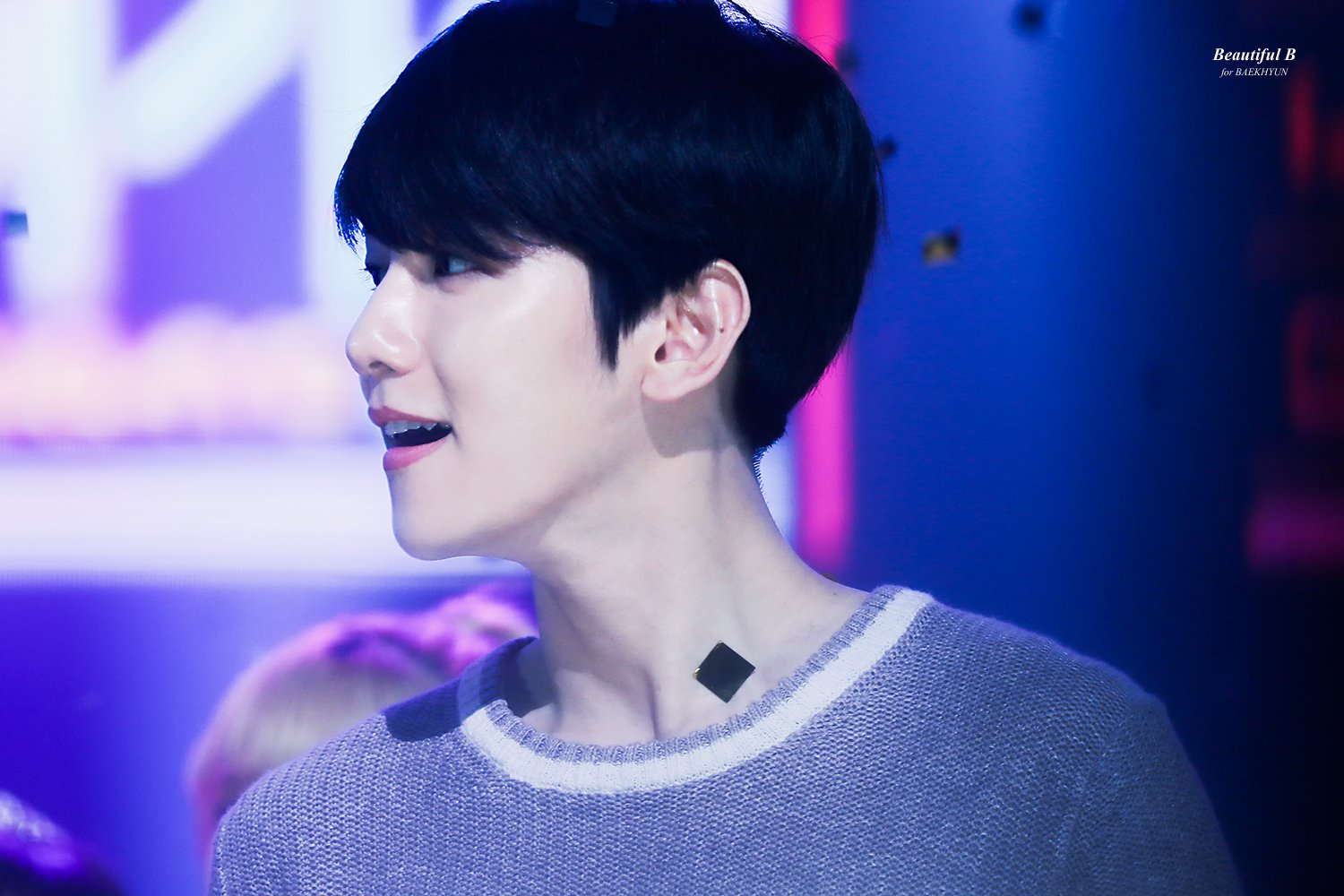 변백현 들튀 | 인스티즈