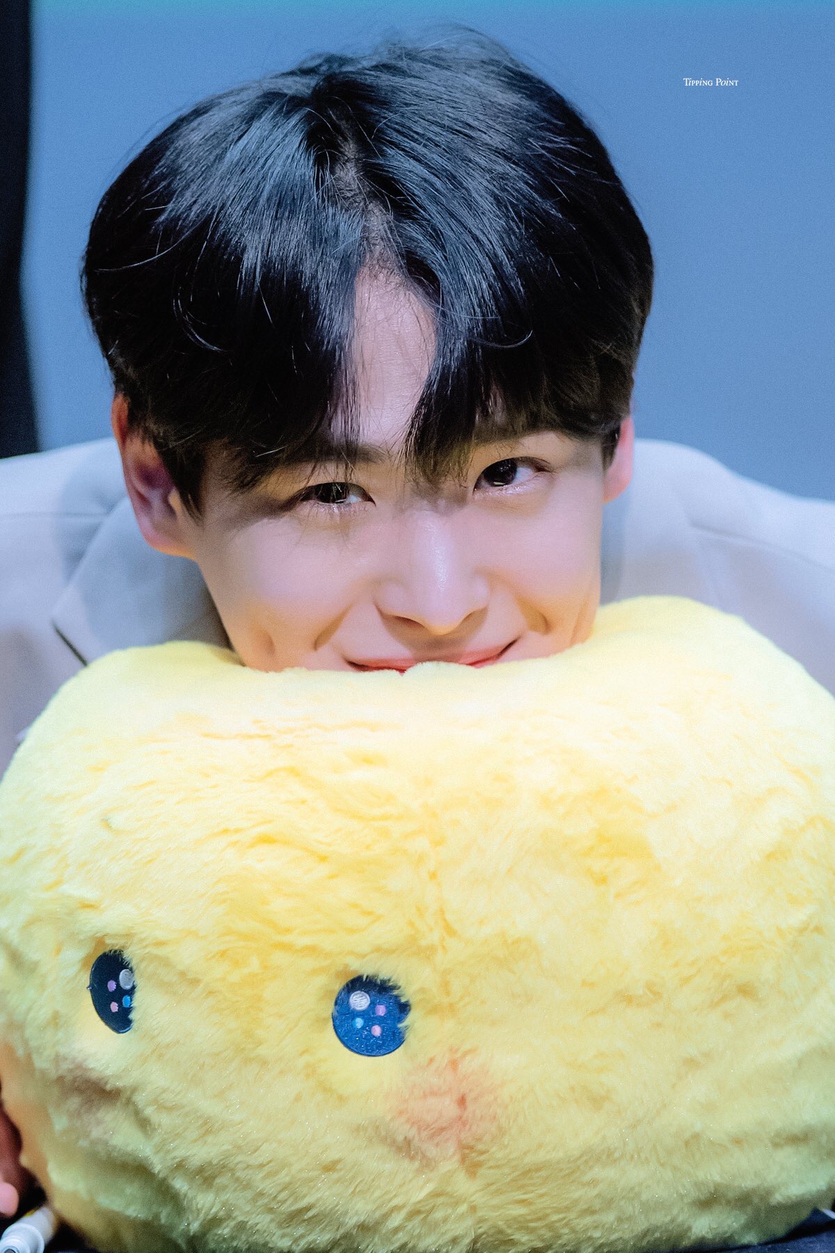 이 마리몽 얼마에요 | 인스티즈