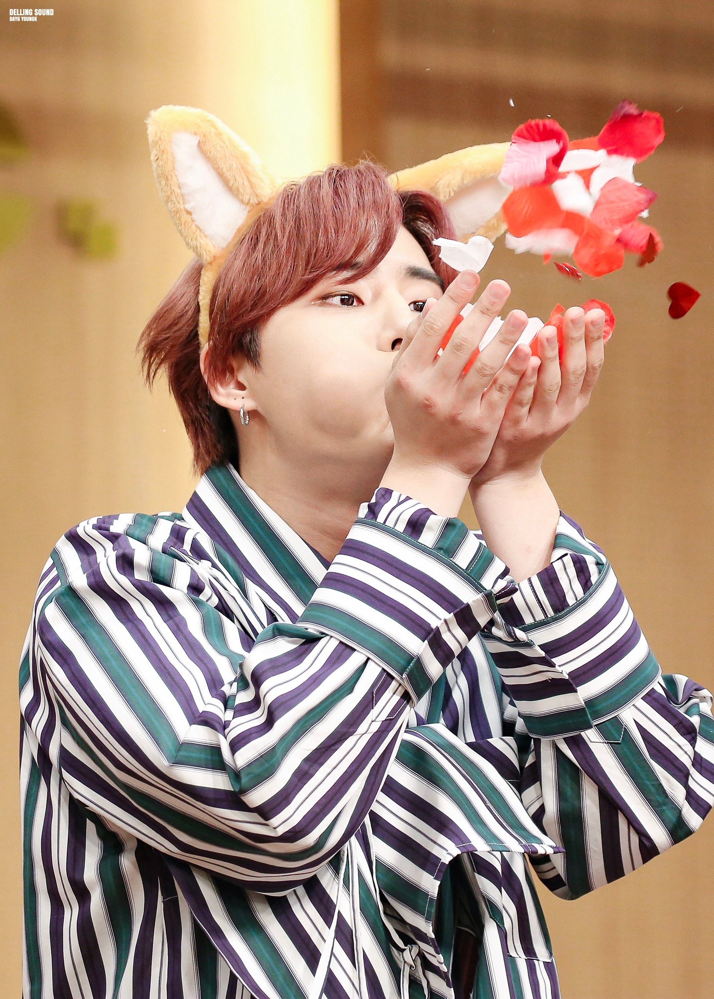 데이식스 팬들 꼭 새벽에 이렇게 큰방에서 달리더라 | 인스티즈