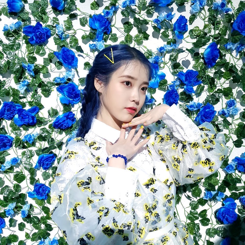 헐 아이유 인스타 뭐야 | 인스티즈