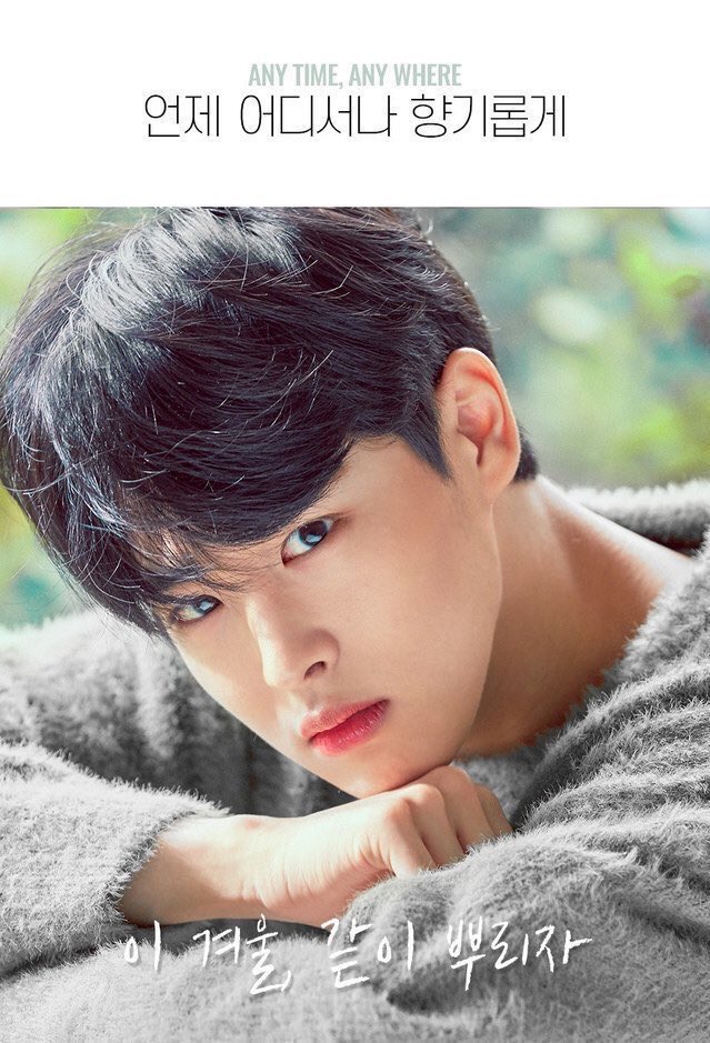 더블유드레스룸 뭐 광고하는 회사야????? | 인스티즈