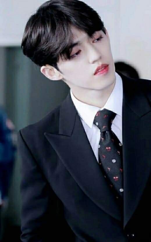 세븐틴 에스쿱스 키알울려라아 | 인스티즈