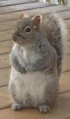 이거 이진혁이래 ㅋㅋ | 인스티즈