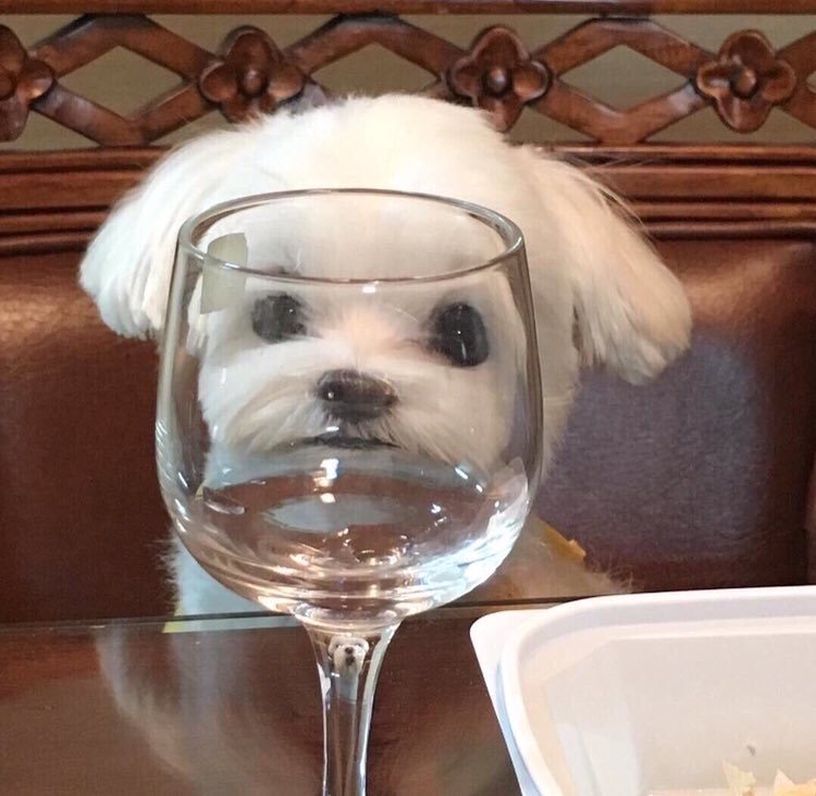 허거거걱 병찬아 거기서 뭐해 얼른 나와!!! | 인스티즈