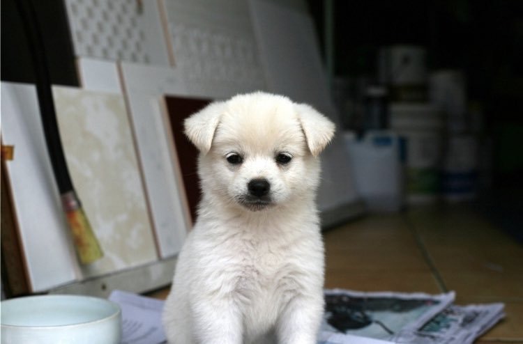 병찬아 너가 똥강아지 같은걸 어떡해 나는 거짓말 같은거 못해 | 인스티즈