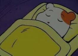 뉴이스트팬들 어제 밤 상황 | 인스티즈