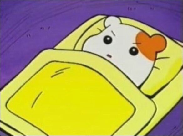 뉴이스트팬들 어제 밤 상황 | 인스티즈