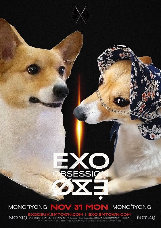 징들아 엑스강아지 버전 더 없니 | 인스티즈