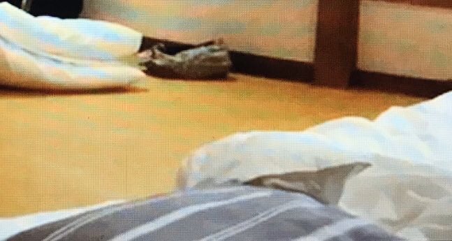 방탄 진 애착베개 | 인스티즈