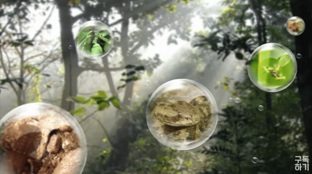 이거 화면효과 무슨 효과인지 아는 익ㅠㅠㅠ | 인스티즈