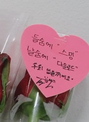 이거 팬한테 준 건데 스밍,다운로드하라는 거 어떻게 생각해? | 인스티즈