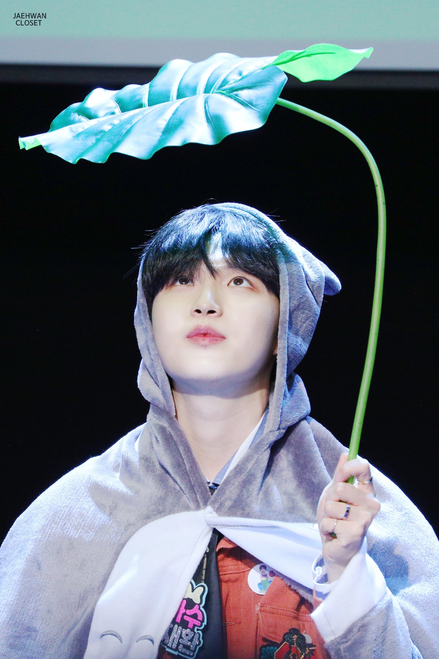 이건 진짜 팬싸 최고의 아이템이라고 생각해... | 인스티즈