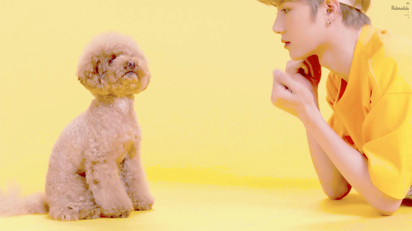 누가 곰돌이야... | 인스티즈