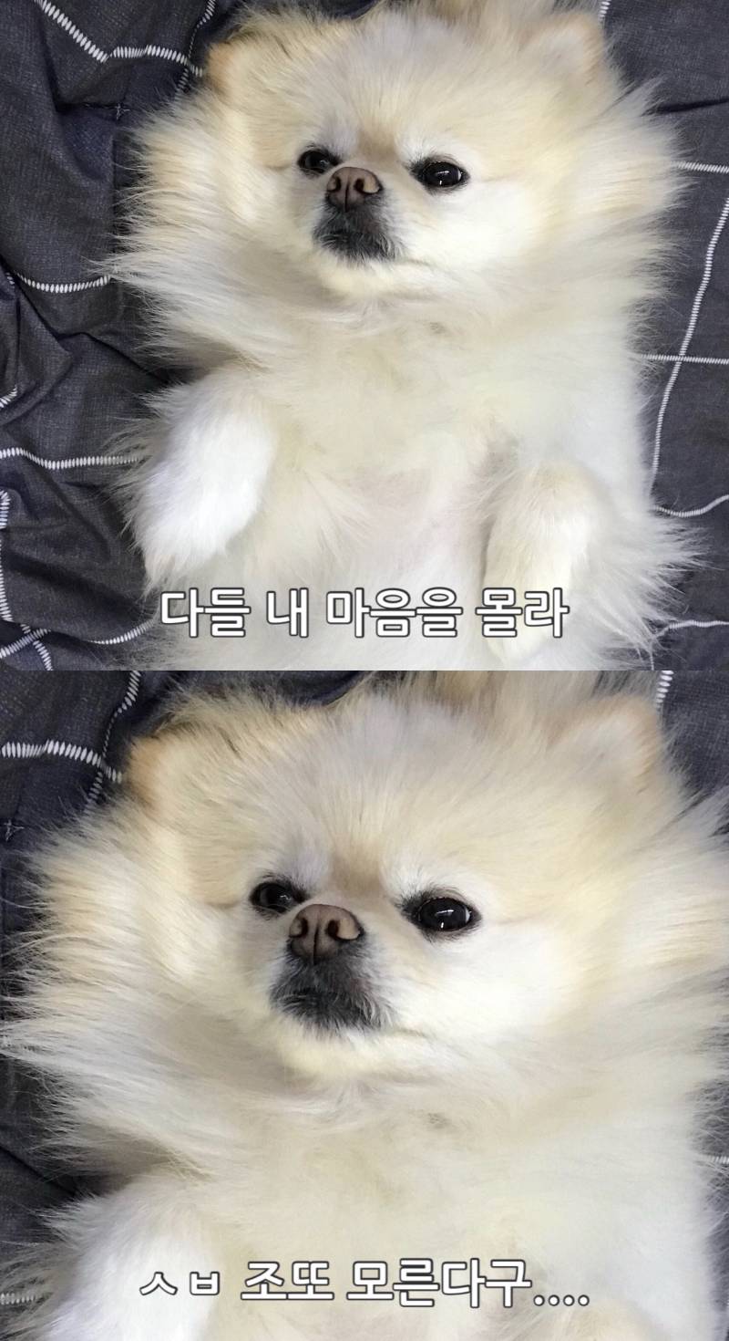 울 애기 짤로 써랏 | 인스티즈