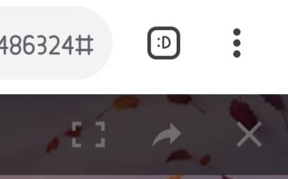 크롬 페이지수 봐ㅋㅋㅋㅋㅋ | 인스티즈