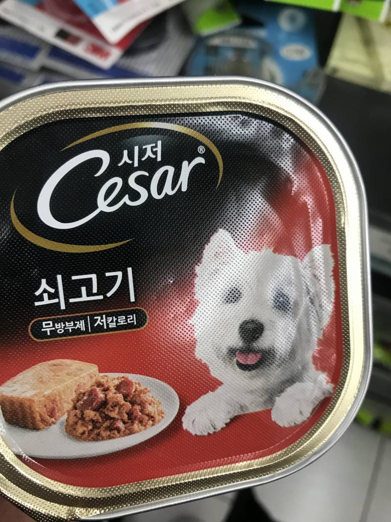 고양이 이거 먹여도 돼? | 인스티즈