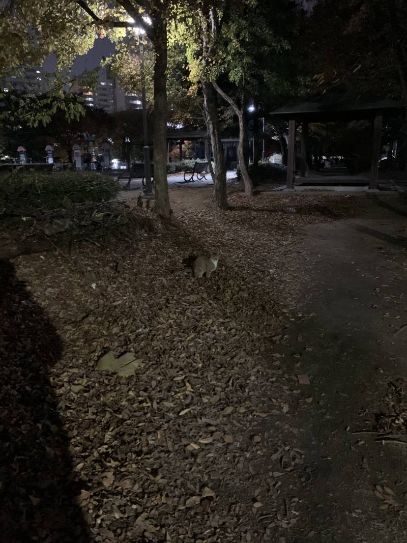 익들아 누가 똥싸!!!!!40 | 인스티즈