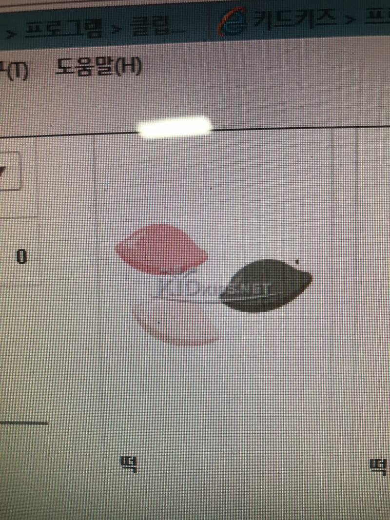 여러가지 떡 | 인스티즈