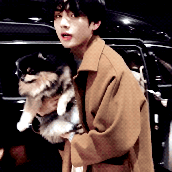 근데 연탄이 다 컸잖아 | 인스티즈